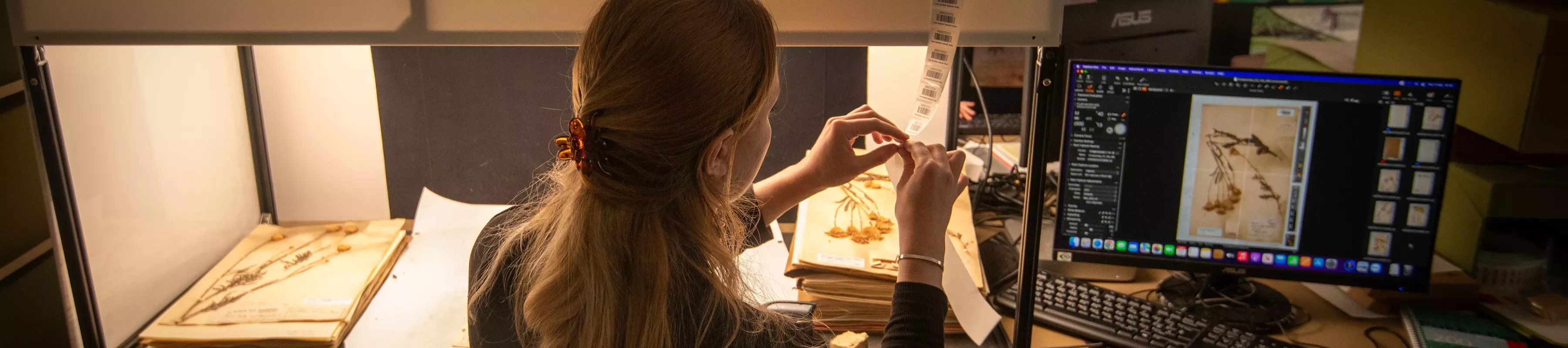 Woman digitises a plant specimen from Kew's Herbarium