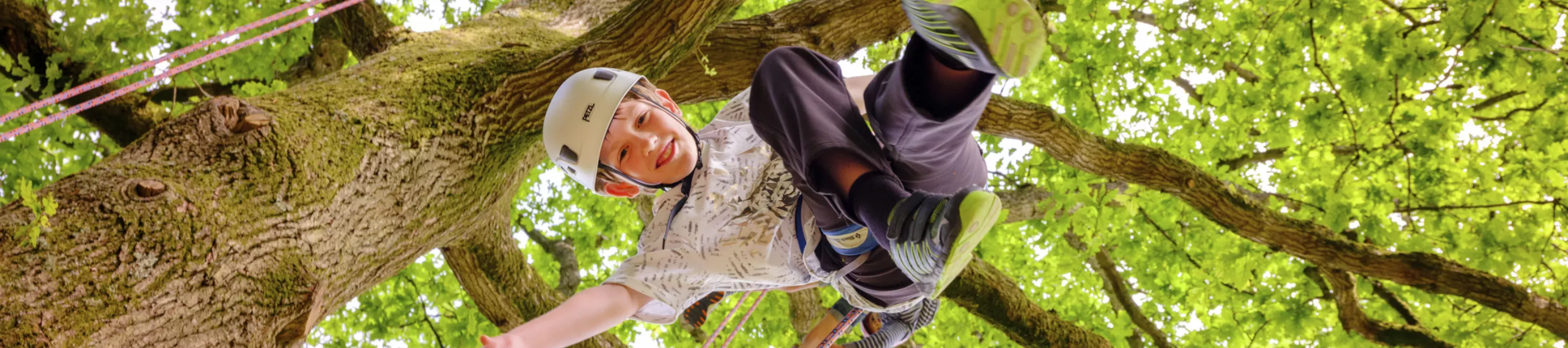 Boy dangling in a harness from a big tree