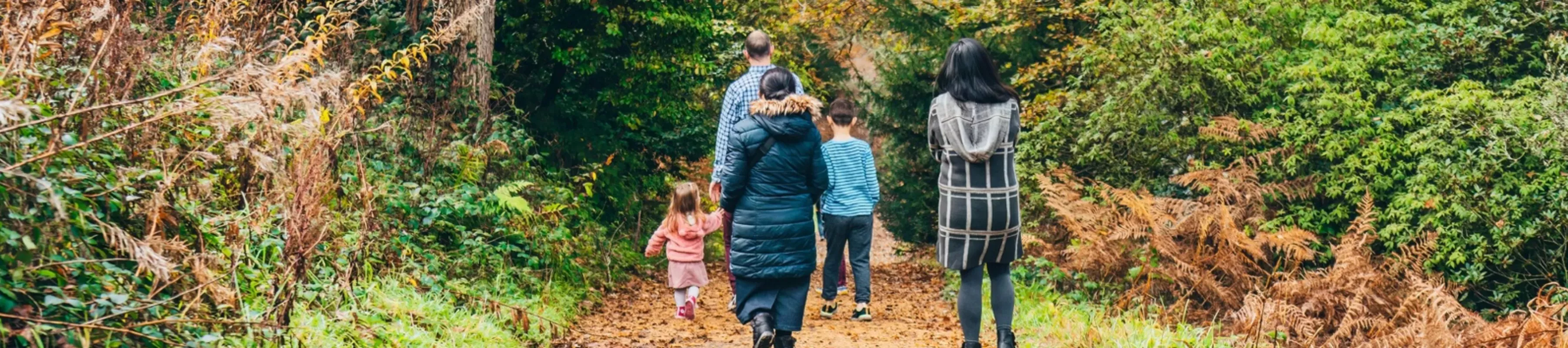 A family walking in a forest environment