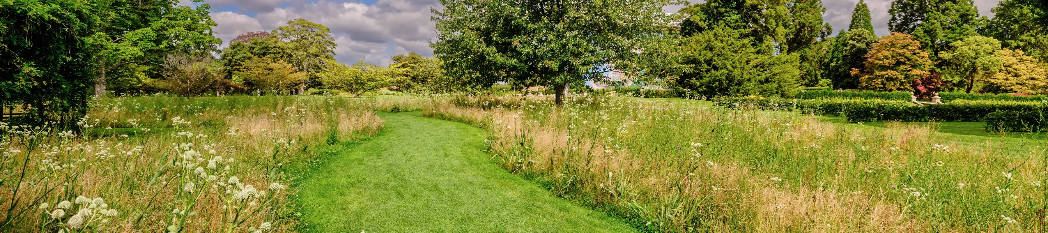 The American Prairie landscape at Wakehurst, a grass path through beds with tall plants. 