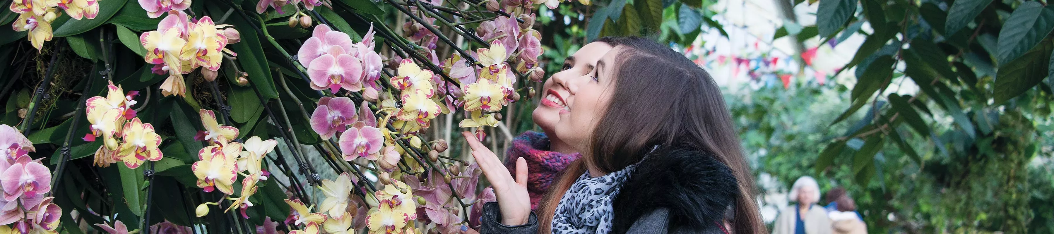Two people examine a display of beautiful orchids