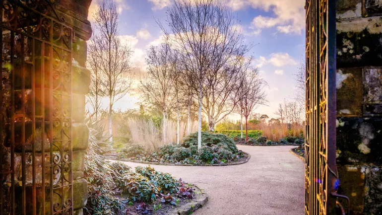 Sun shines through a gate looking into Wakehurst's Winter Garden, where a path weaves through plants.
