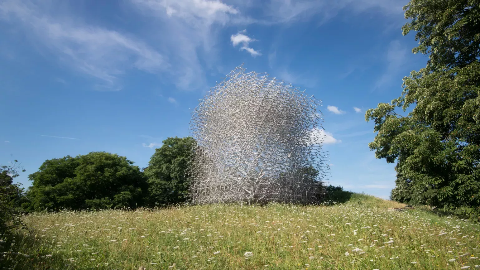 The Hive, a 17 metre installation at Kew Gardens, viewed from a distance 