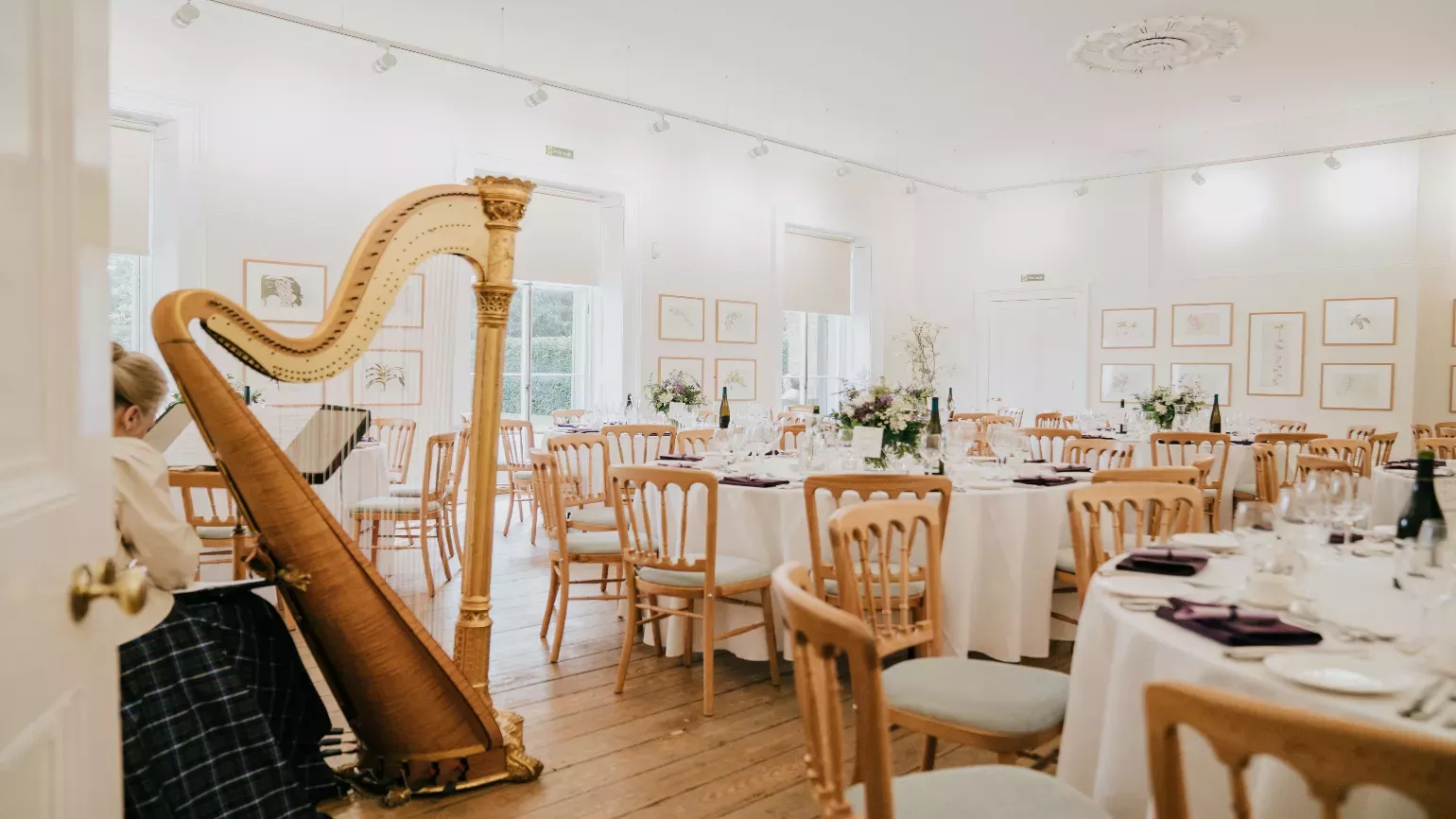 A harpist in a wedding dinner hall