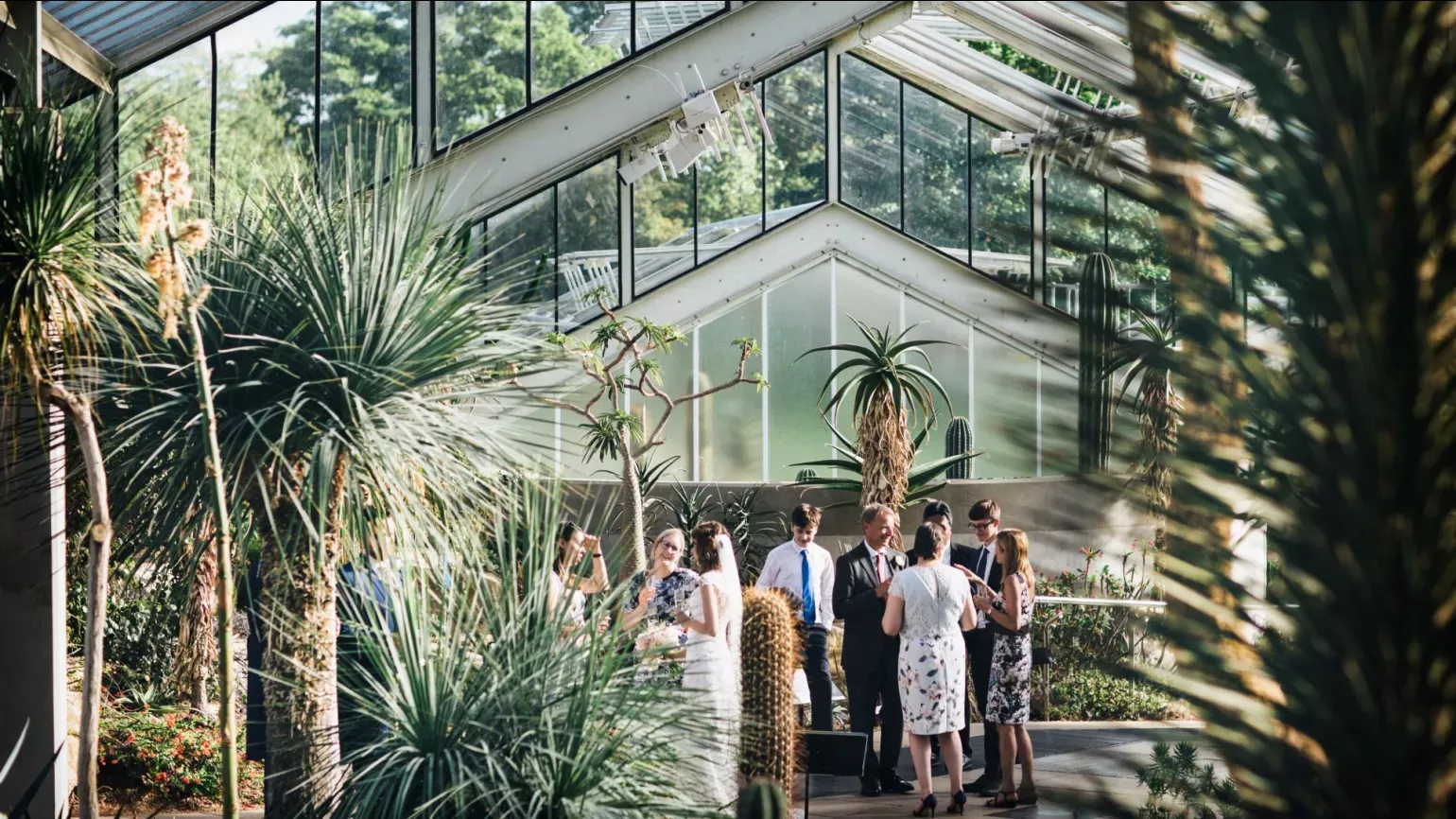 A group of people stand in the princess of wales conservatory at kew gardens