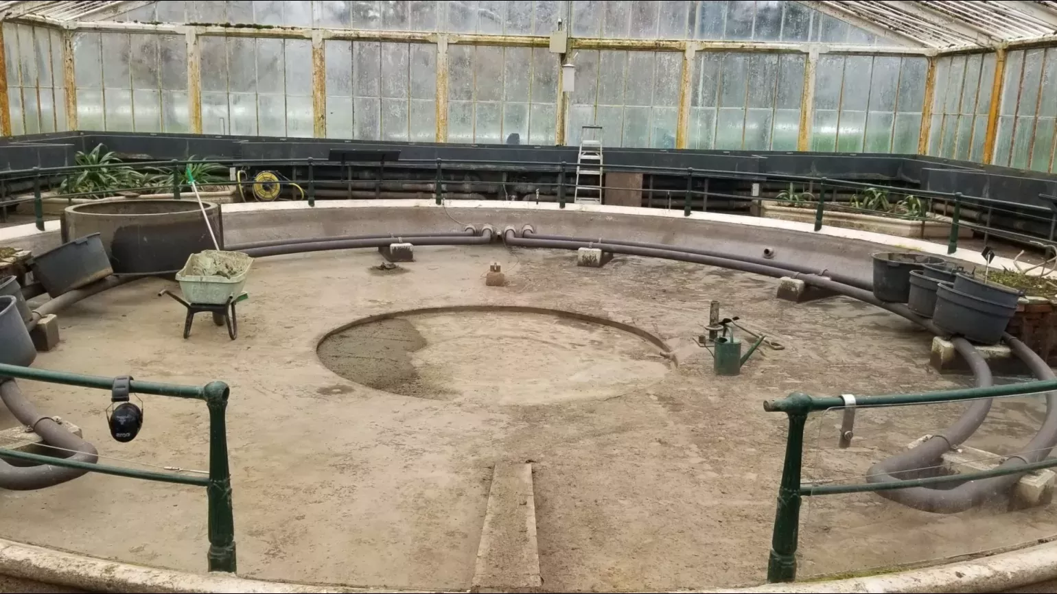 A empty pond with a cleaned basin and a number of tools around in a glasshouse