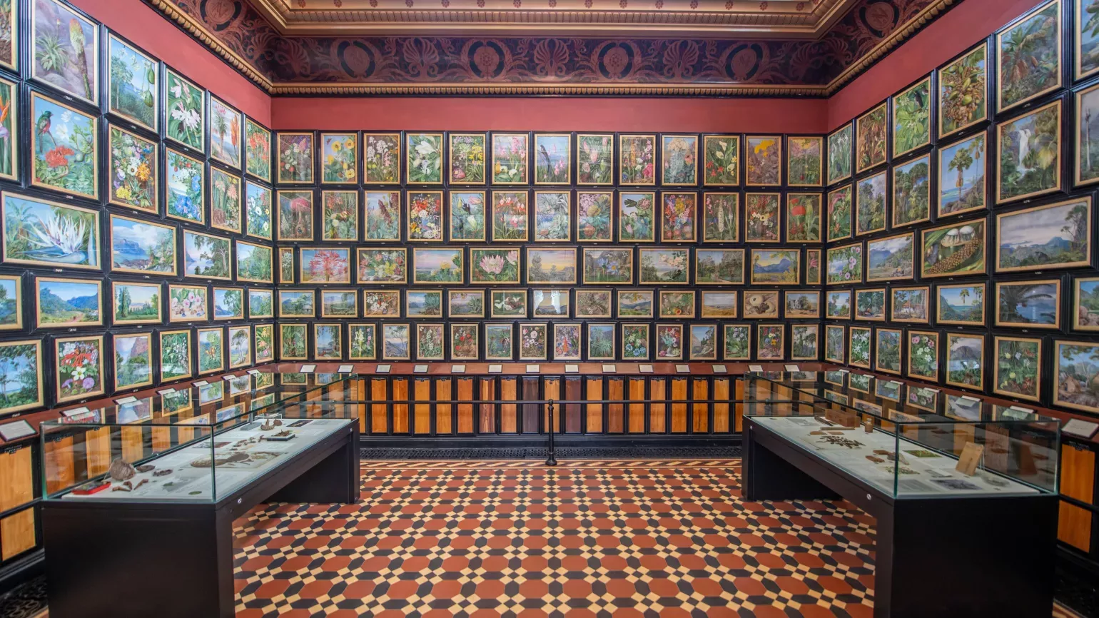 Art gallery space where the walls are lined with colourful botanical paintings, with glass display cases standing against the left and right walls