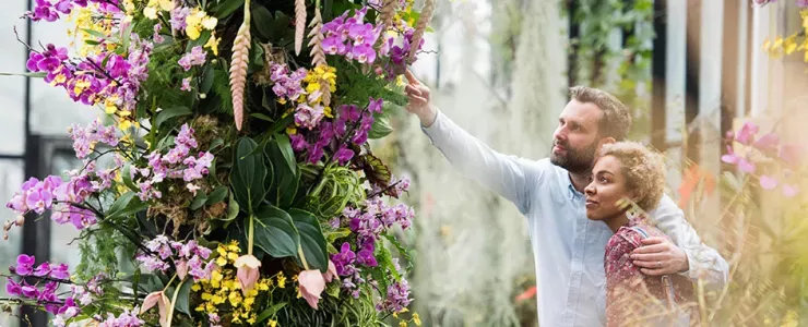 A couple explore the orchid festival