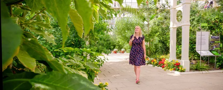 A visitor explores the Temperate House