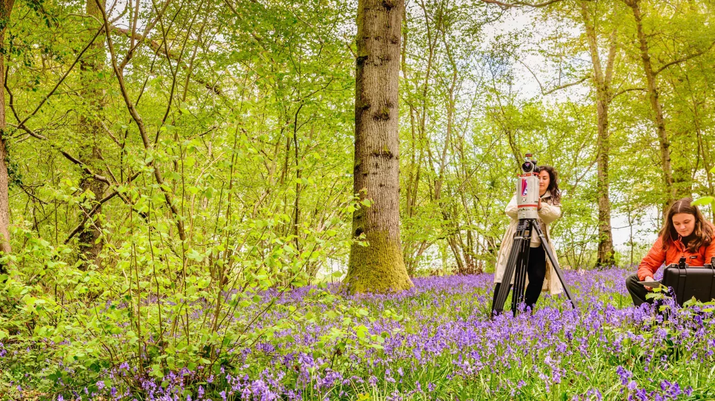 Two researchers in the woodland at Wakehurst surrounded by bluebells, working with cameras and a computer