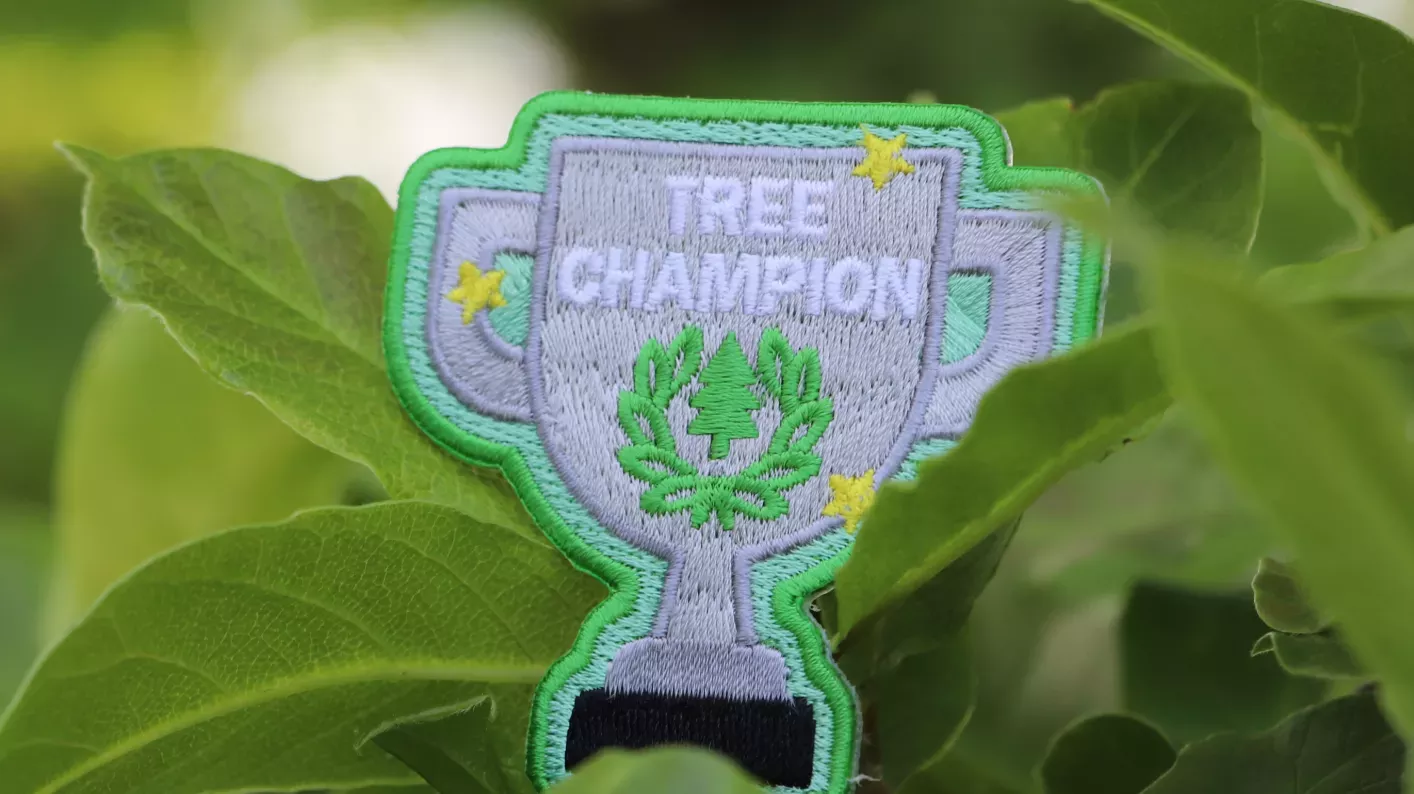 Grey and white embroidered badge in the shape of a trophy, set amongst green leaves
