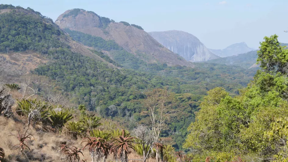 Mountain area in Mozambique - a tropical important plant area