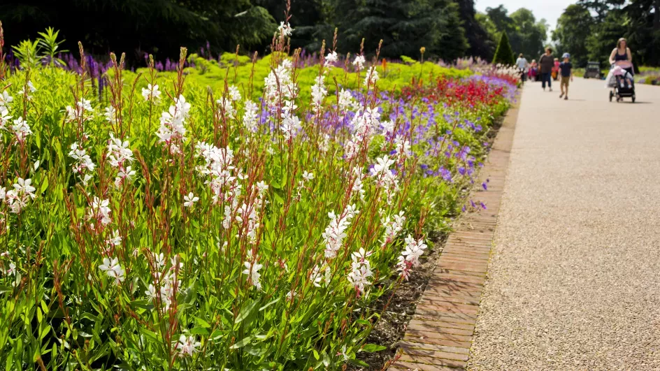 Flower beds at Broad Walk Borders