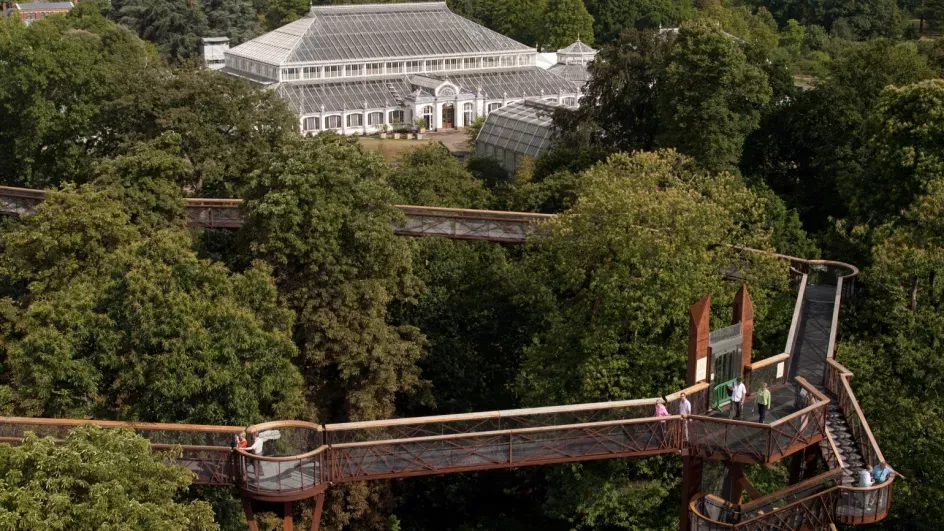 An aerial view of the Temperate House and the Treetop Walkway 