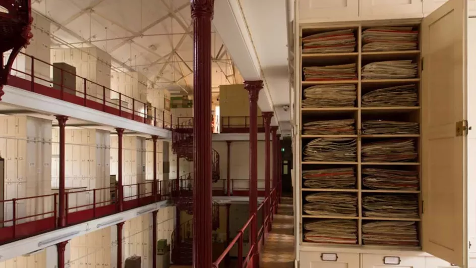 Inside the Herbarium with a cupboard open