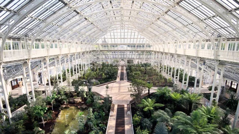 A wide shot taking in the whole Temperate House from above