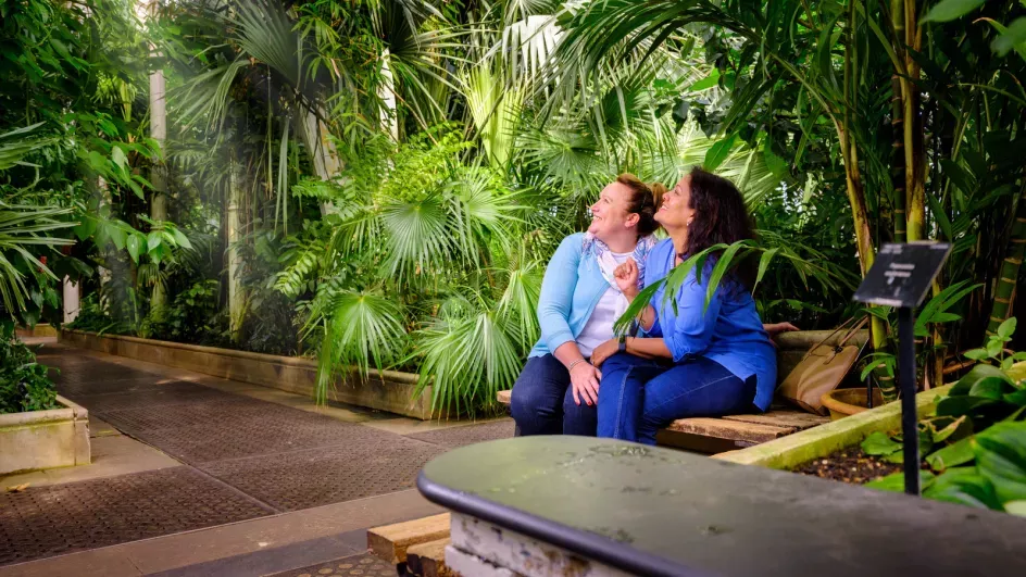 Two women sit on a bench and looking up in admiration at the Palm House display