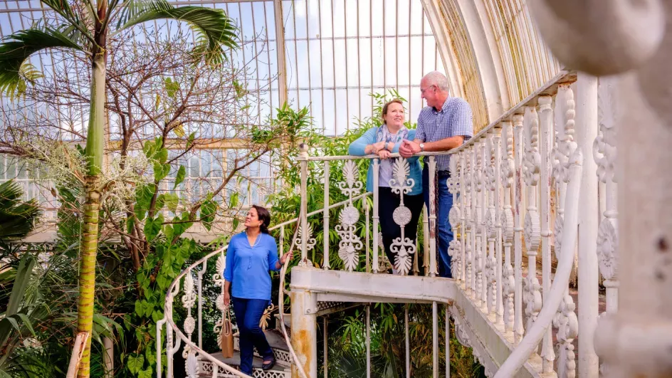 Visitors in the gallery of the Palm House look out onto the display