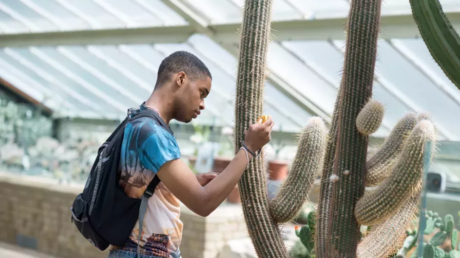 Student looking at the moisture levels of a cactus