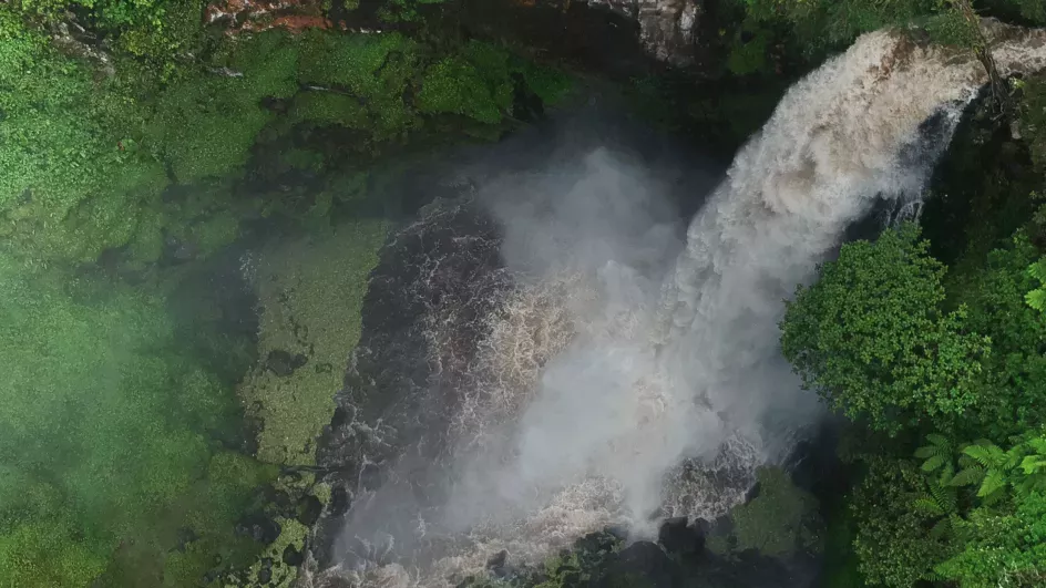 Waterfall in a forest from above