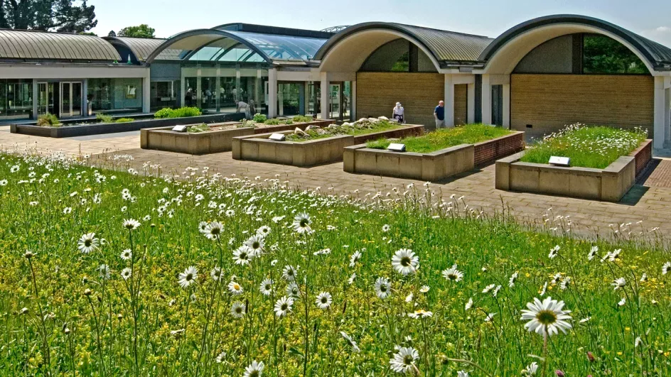 Looking across the grass at the outside of the Millennium Seed Bank building on a bright sunny day
