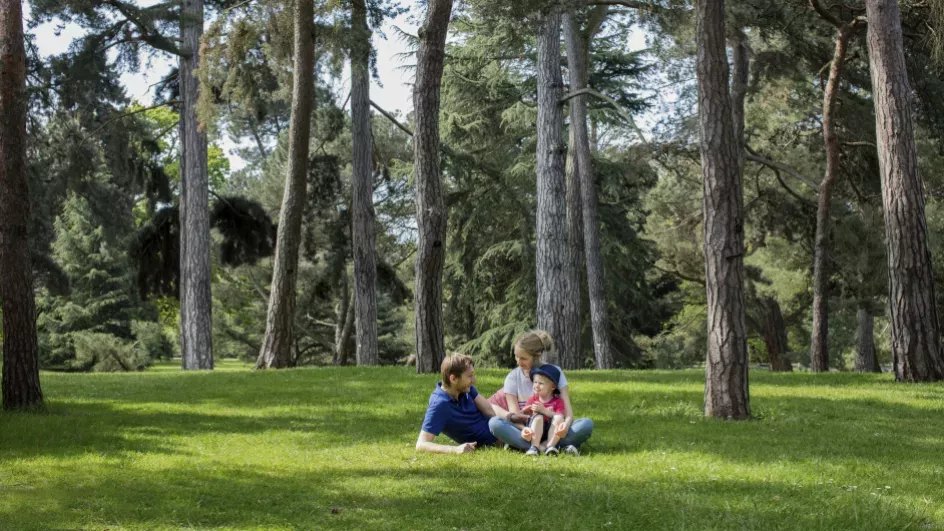 A family sit on green grass in front of grey pine trees