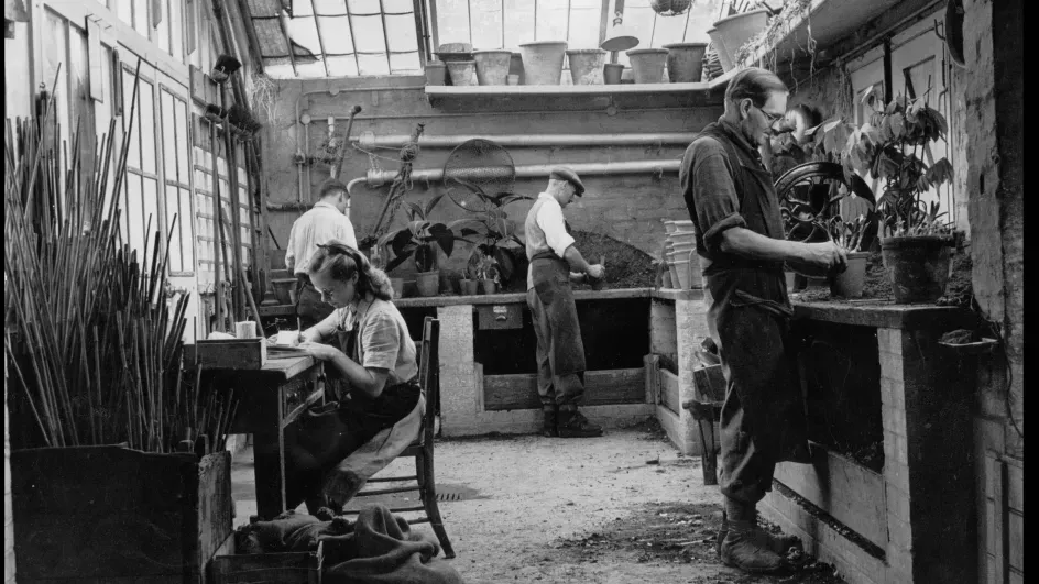 Tropical potting shed at Kew Gardens, c. 1940. The seated figure on the left appears to be recording plant entries and exits. Image courtesy of RBG Kew.