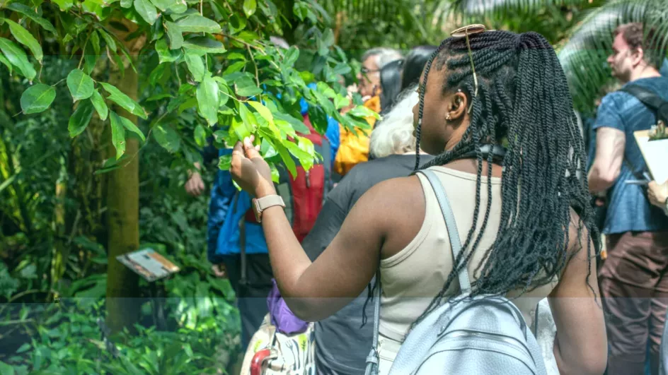A person in a group reaches out to examine a green leaf on a tree