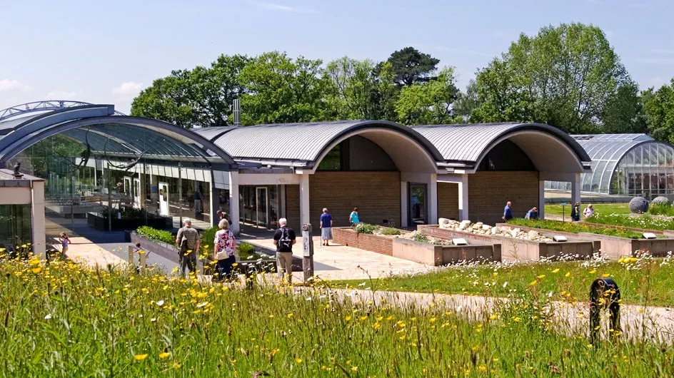 The Millennium Seed Bank