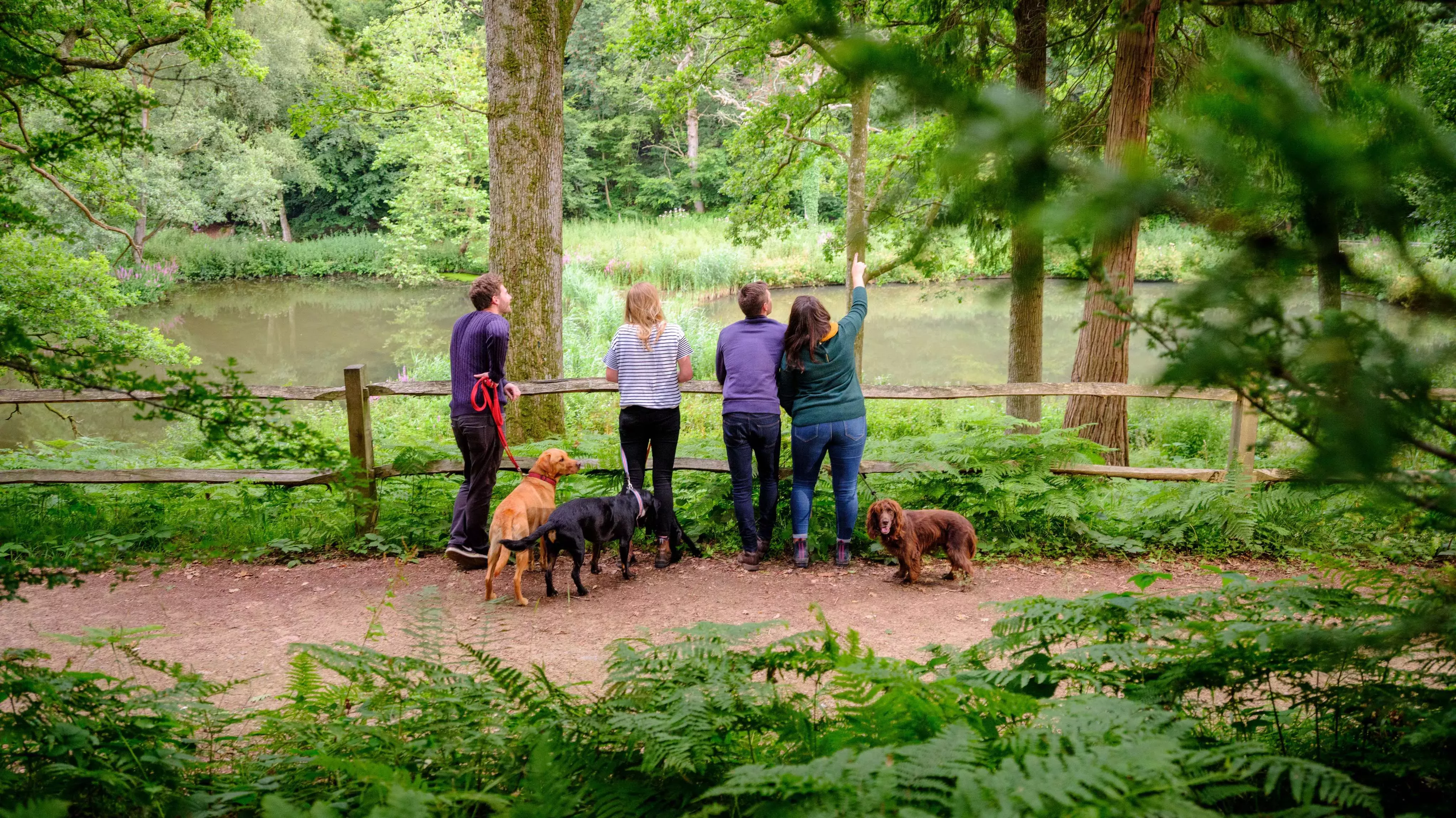 A group of people admire the view of Wakehurst whilst their dogs patiently sit next to them