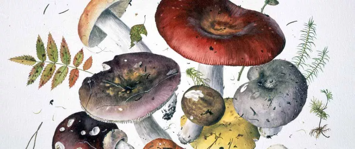 A painting of fungi from Modern Masterpieces exhibition 