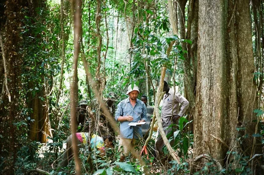 Scientists in the field researching coffee