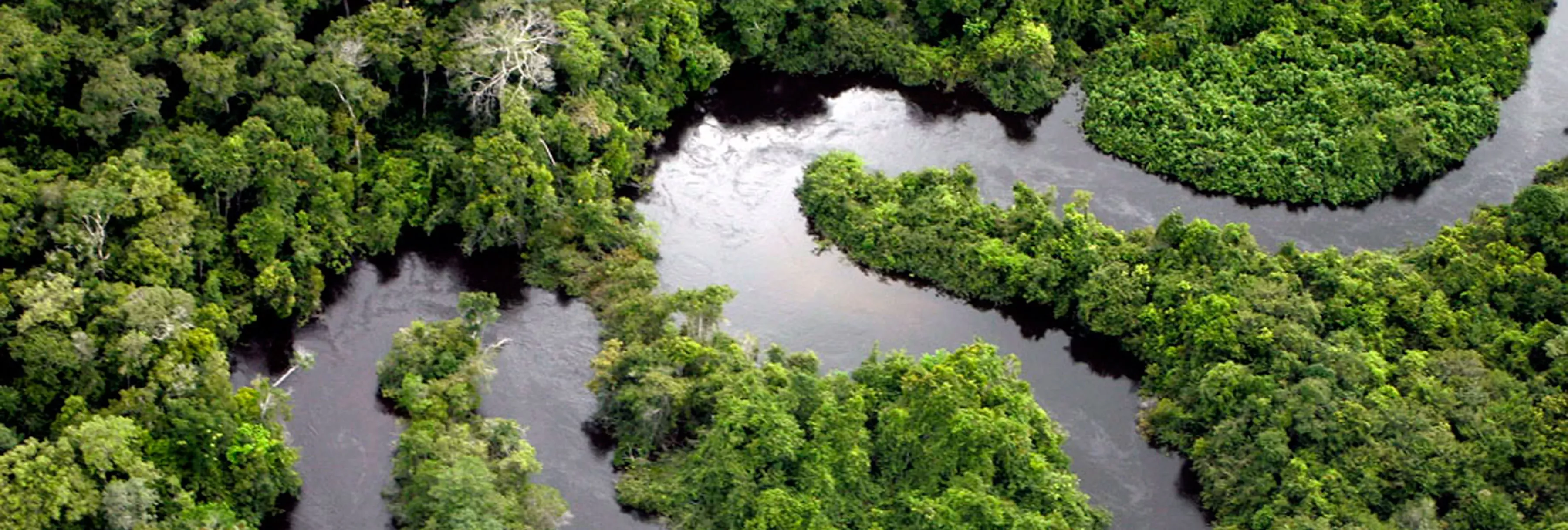 Above a winding river in the Amazon
