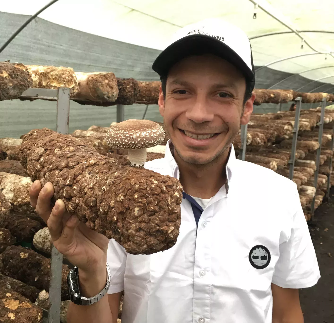 Colombian fungi producer holding a log covered in fungi