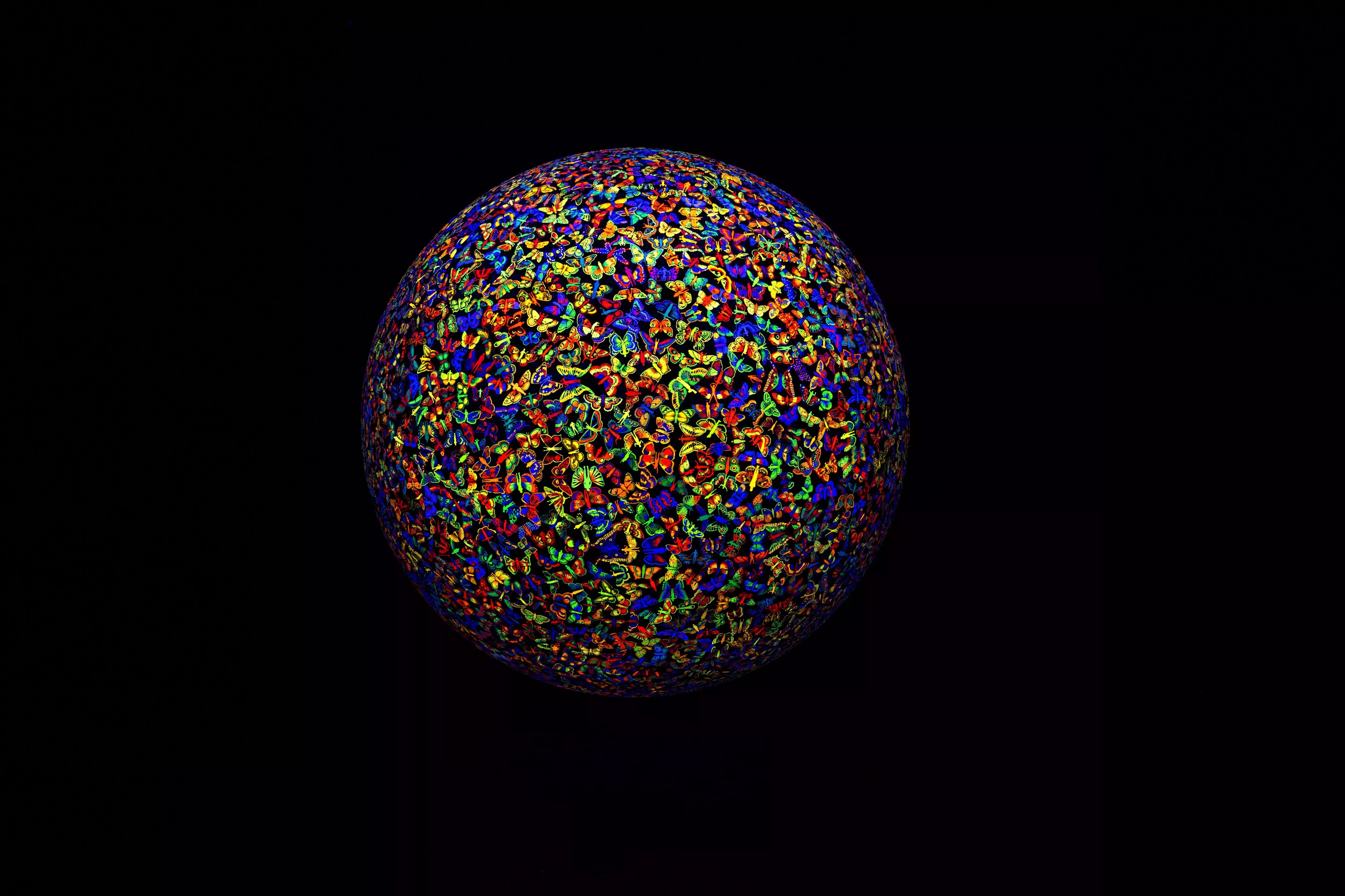 A disc of thousands of colourful insects suspended in darkness