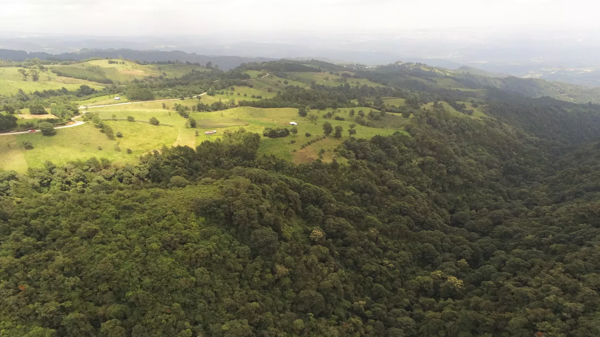 A wide shot of green hills with both forests and fields