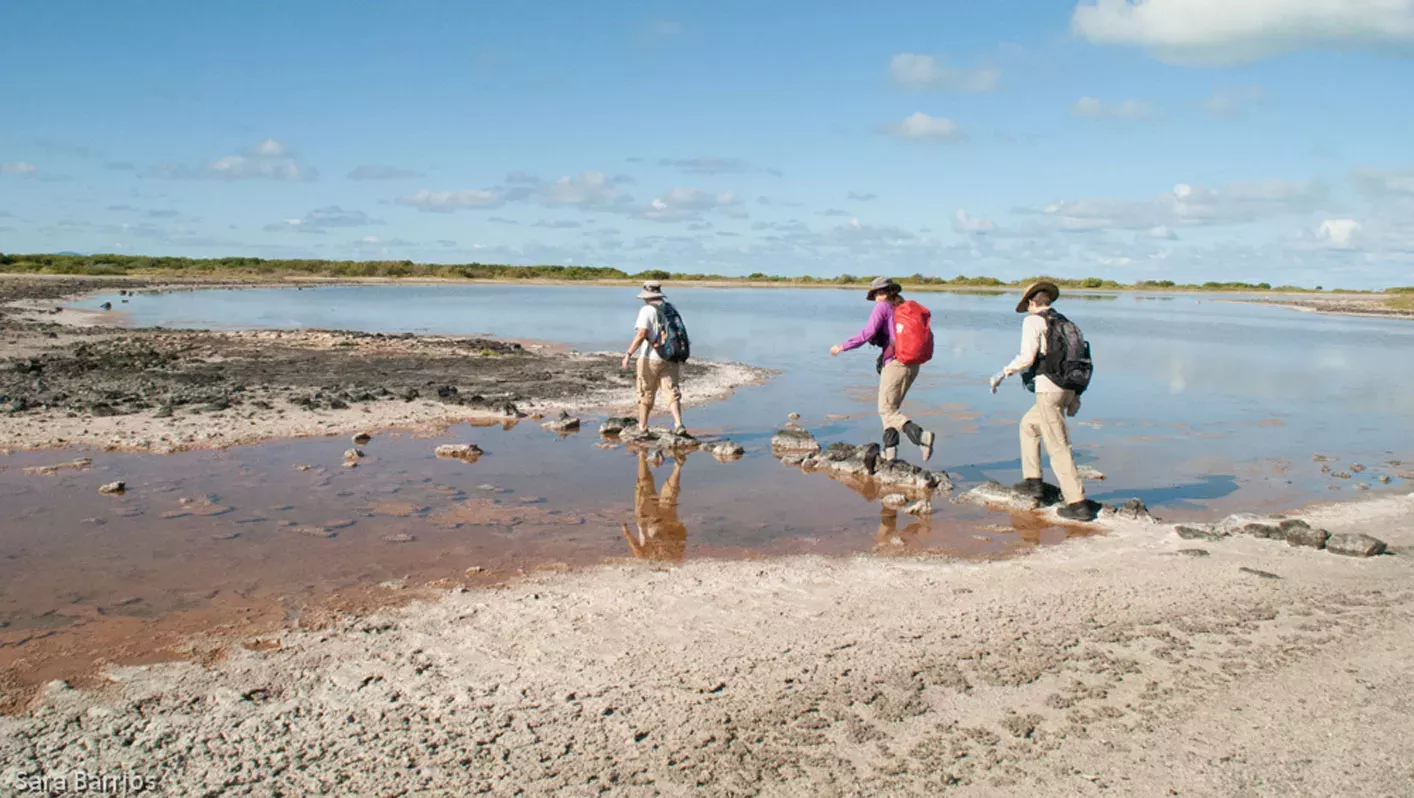 Three researchers with backpacks stepping across stones on a body of water in the salt ponds on Anegada. The ground is dusty and the sky above is blue with few clouds