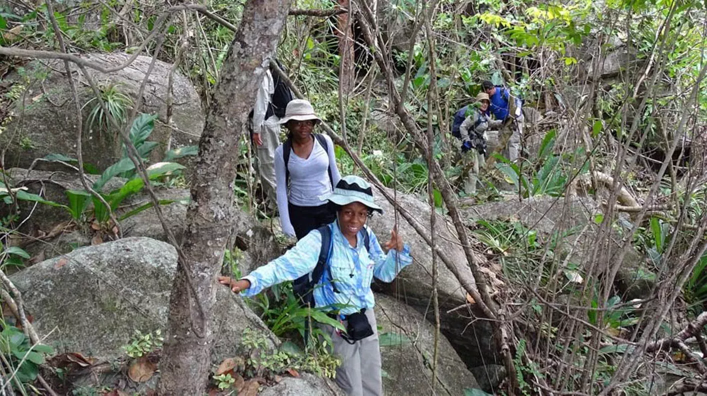 Five researchers deep within a forest with rocks on the island of Tortola