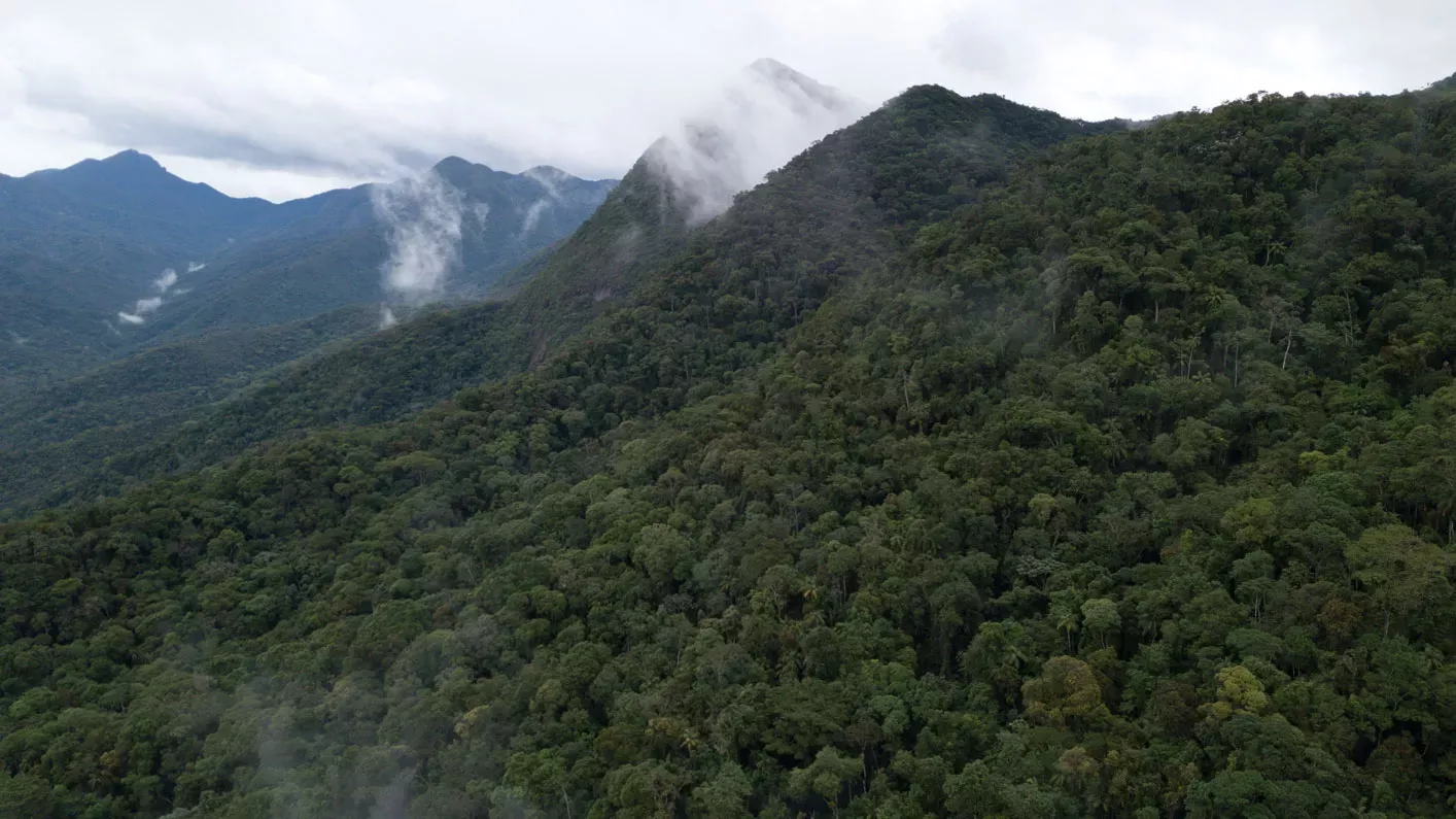 Drone image looking over vast dark green forest in Brazil. The sky is cloudy with low laying clouds
