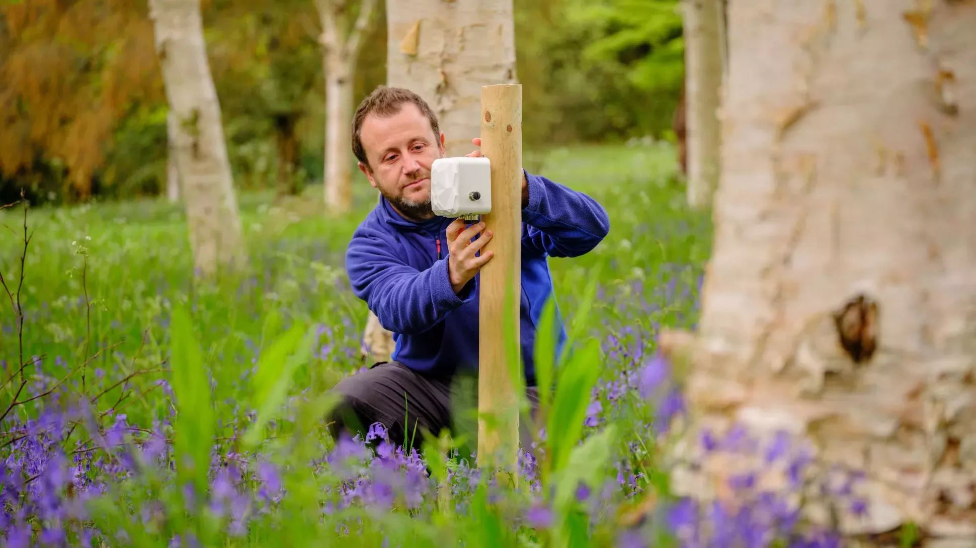 A person fixes a scientific instrument to a wooden pole in a woodland