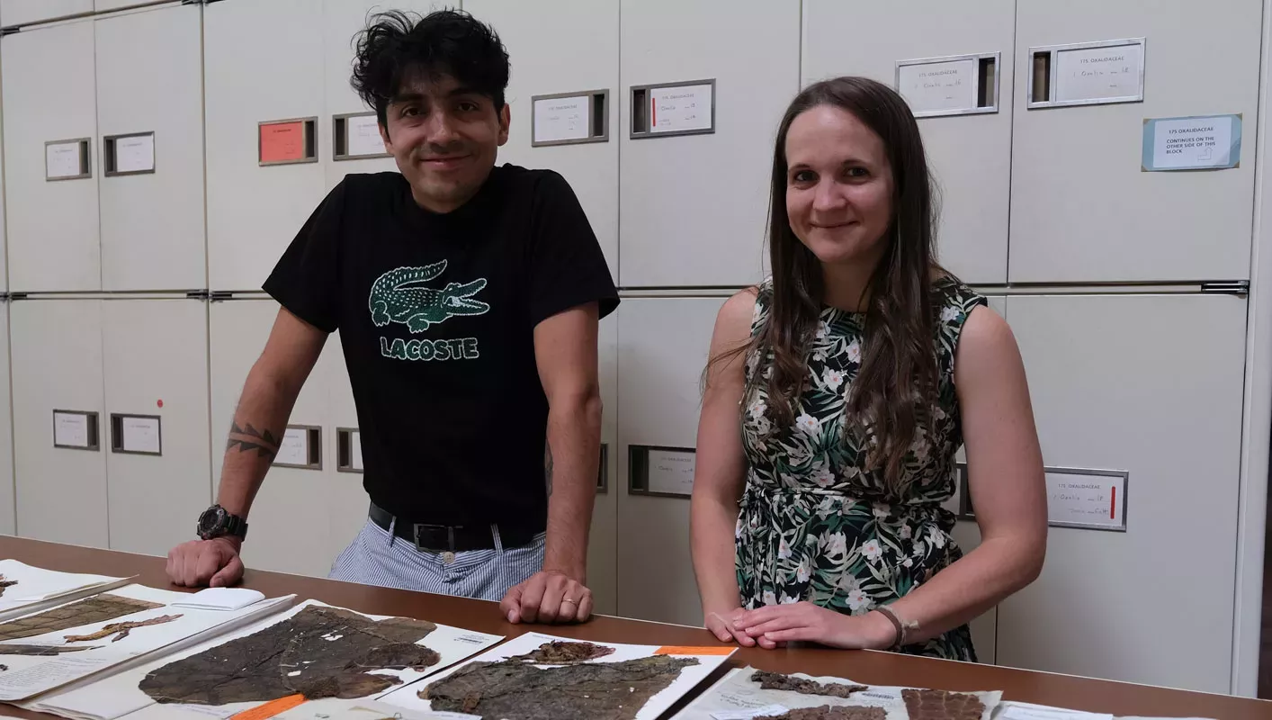 Oscar and Natalia in the Herbarium, in front of large white-grey metal cabinets. A number of specimens are laid out on the table in front of them