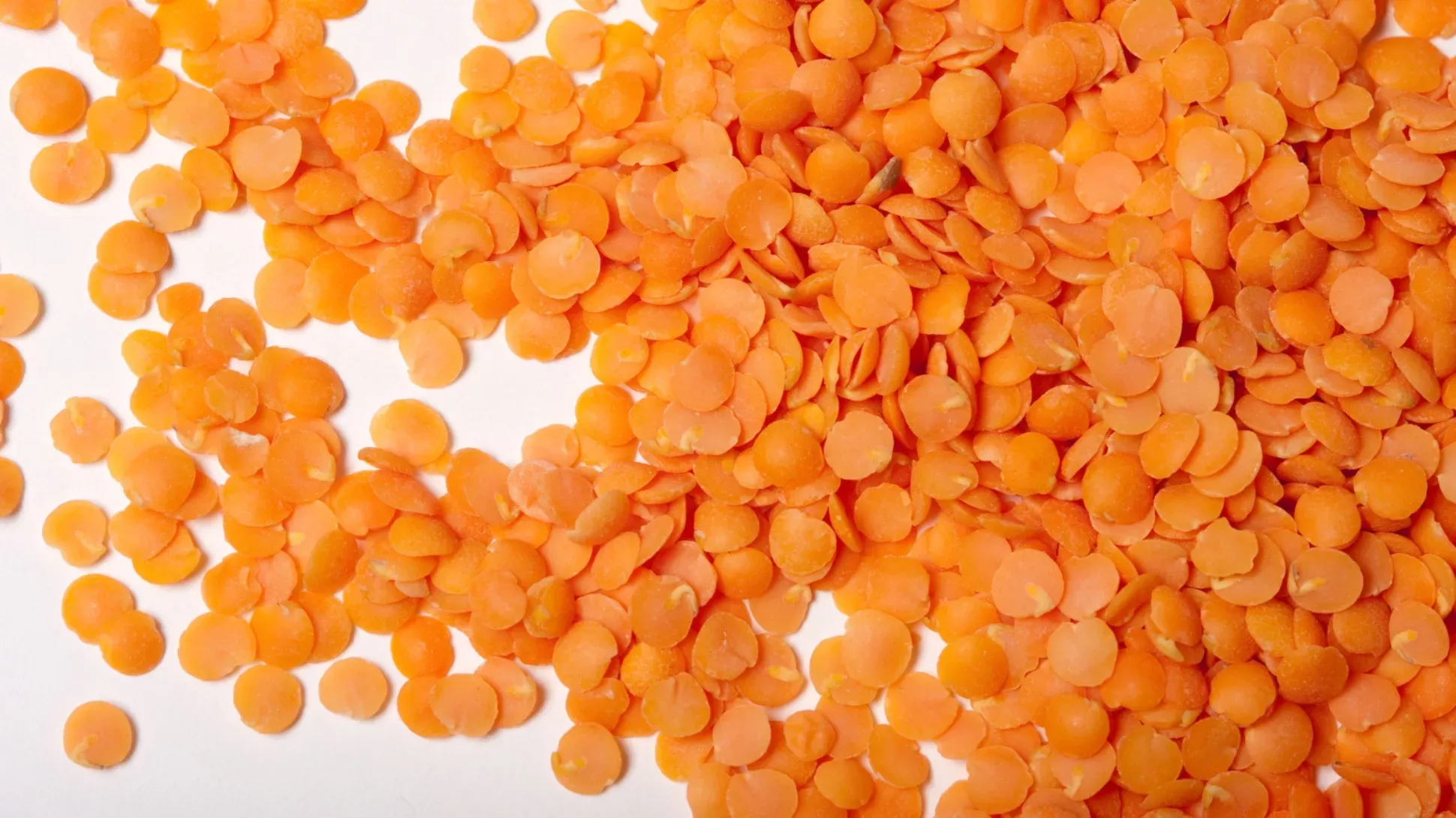A close up shot of red orange lentils