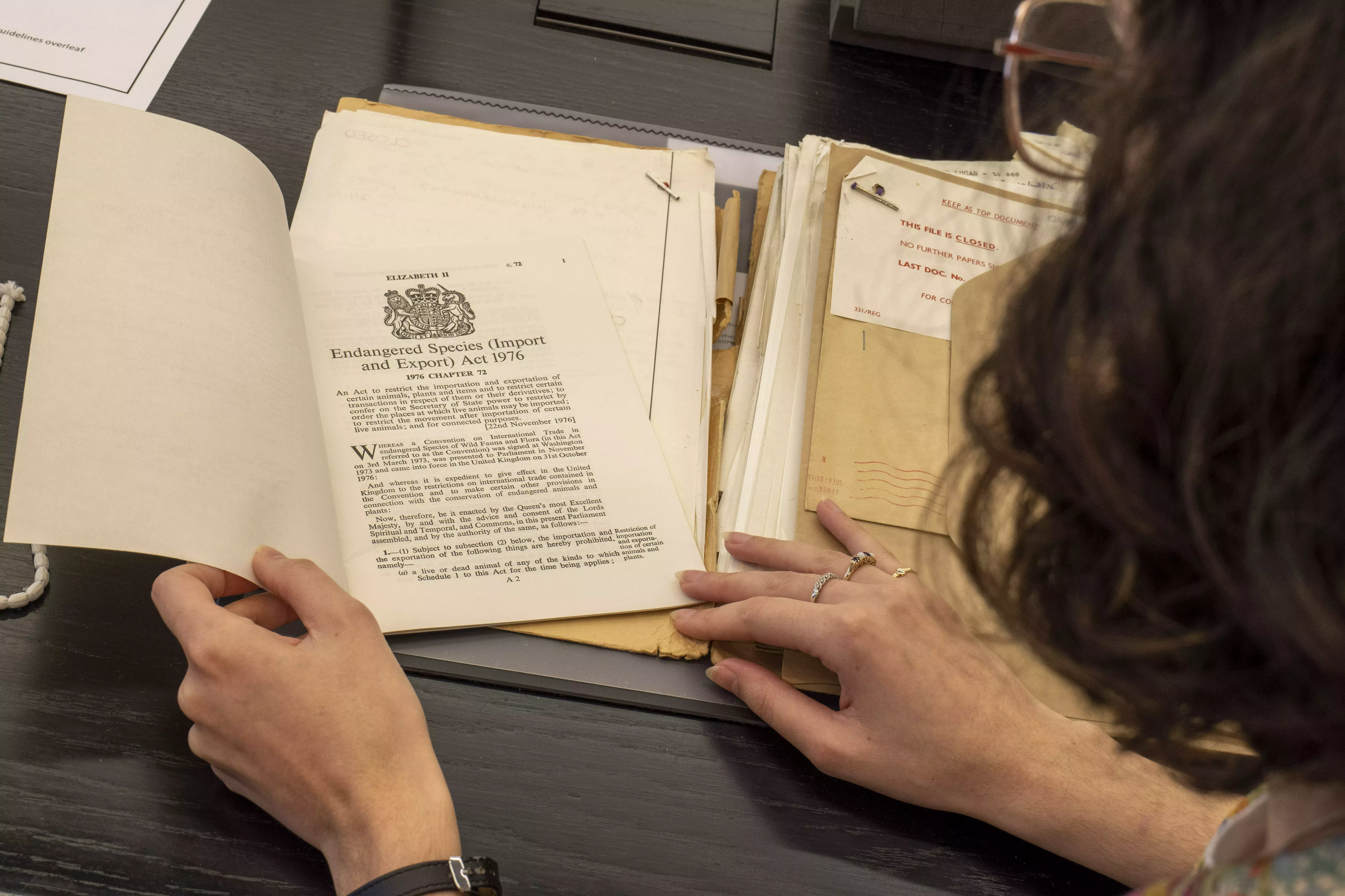 A woman is looking at some old records from the 70s, a small pamphlet is labelled "Endangered Species Act 1976"