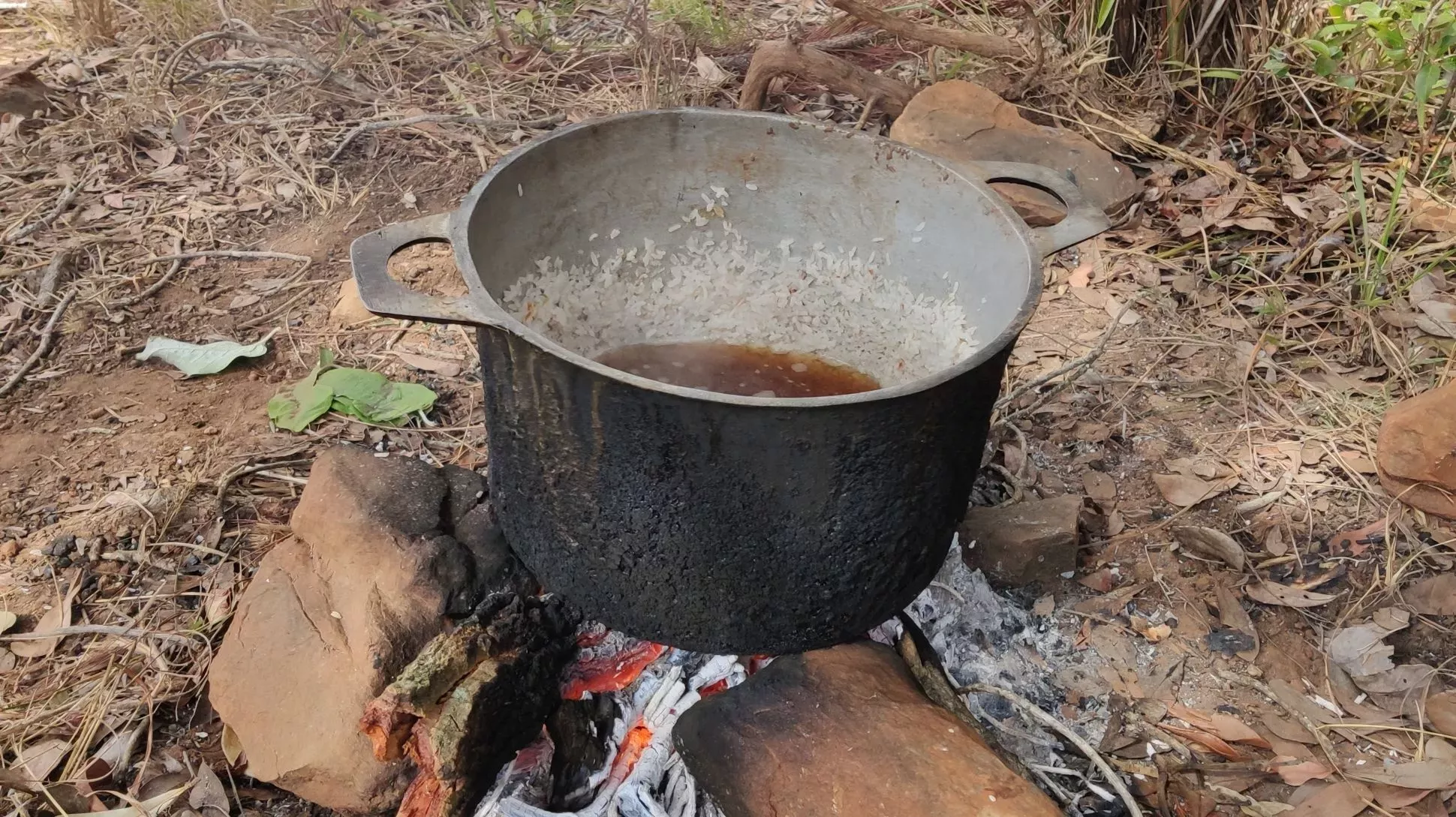 A metal pot on a campfire with a brown liquid at the bottom