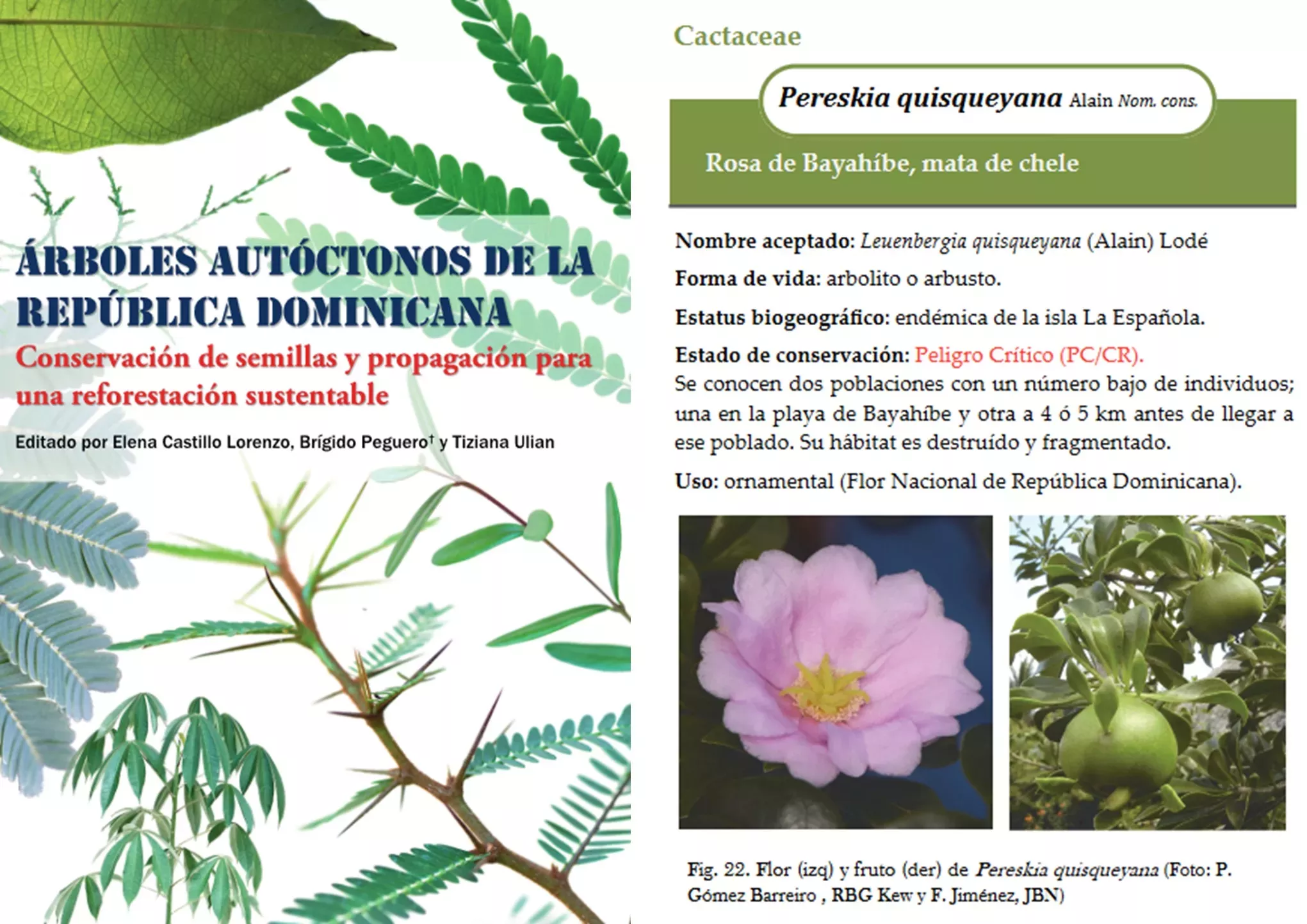 A book cover of arboles autoctonos de la republica dominica and a extract page showing info about a native plant