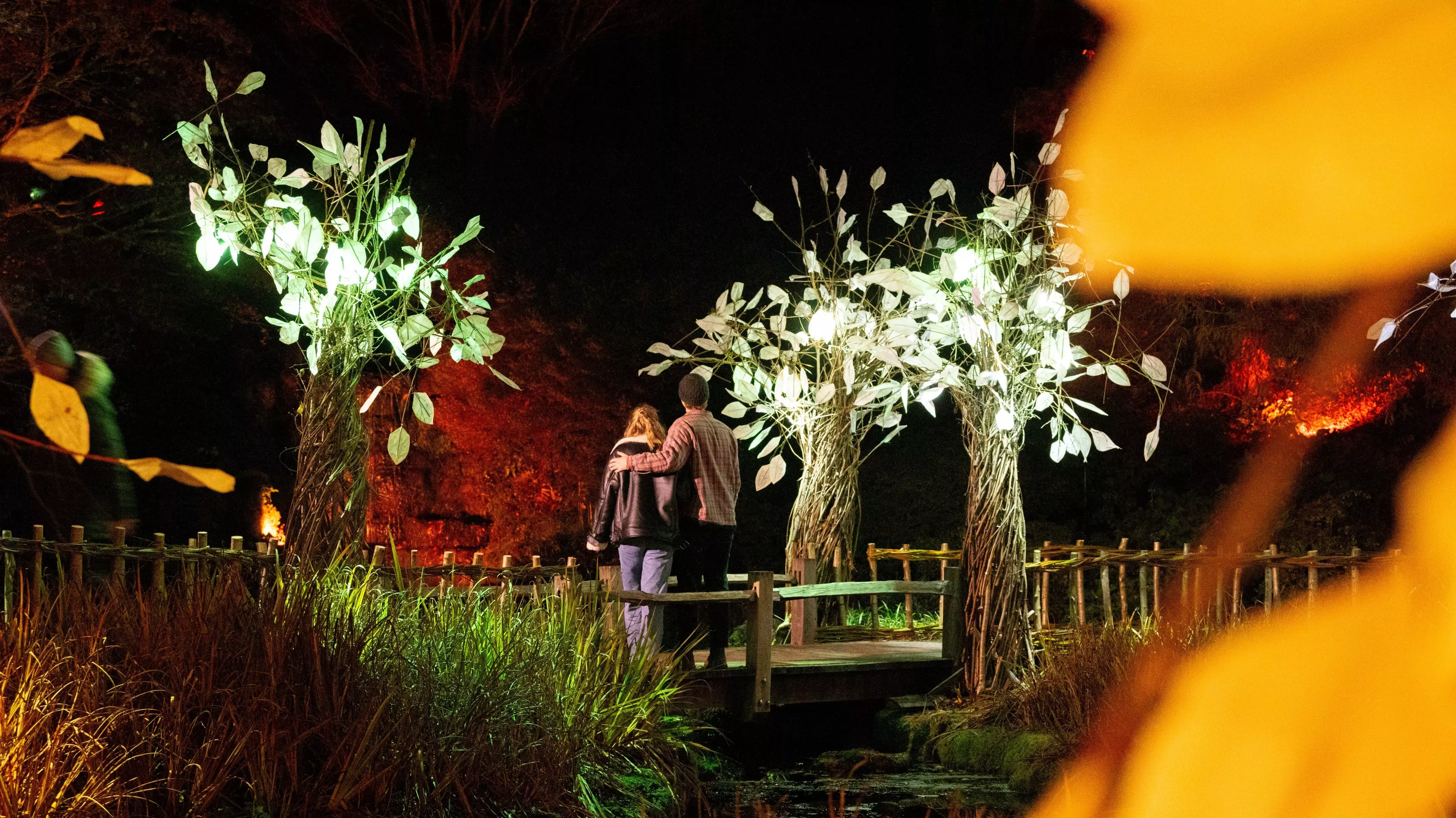 A couple admiring tree light installations at Wakehurst