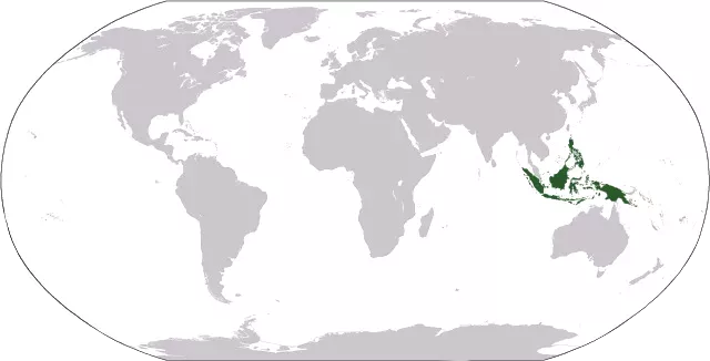 A map showing the countries of the world and highlights the Indo-Australia Archipelago