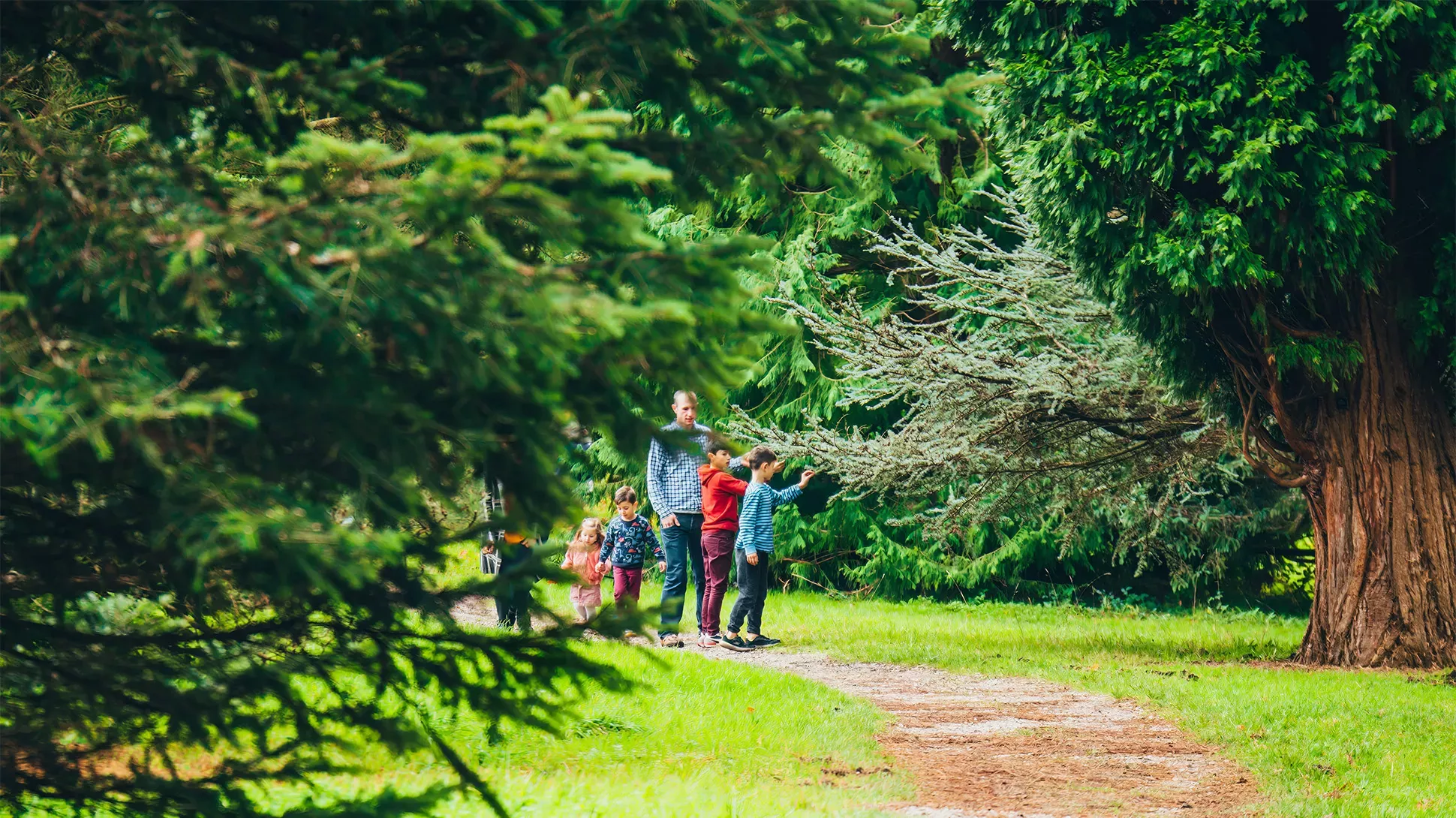 A family walk amongst tall trees in Pinetum at Wakehurst