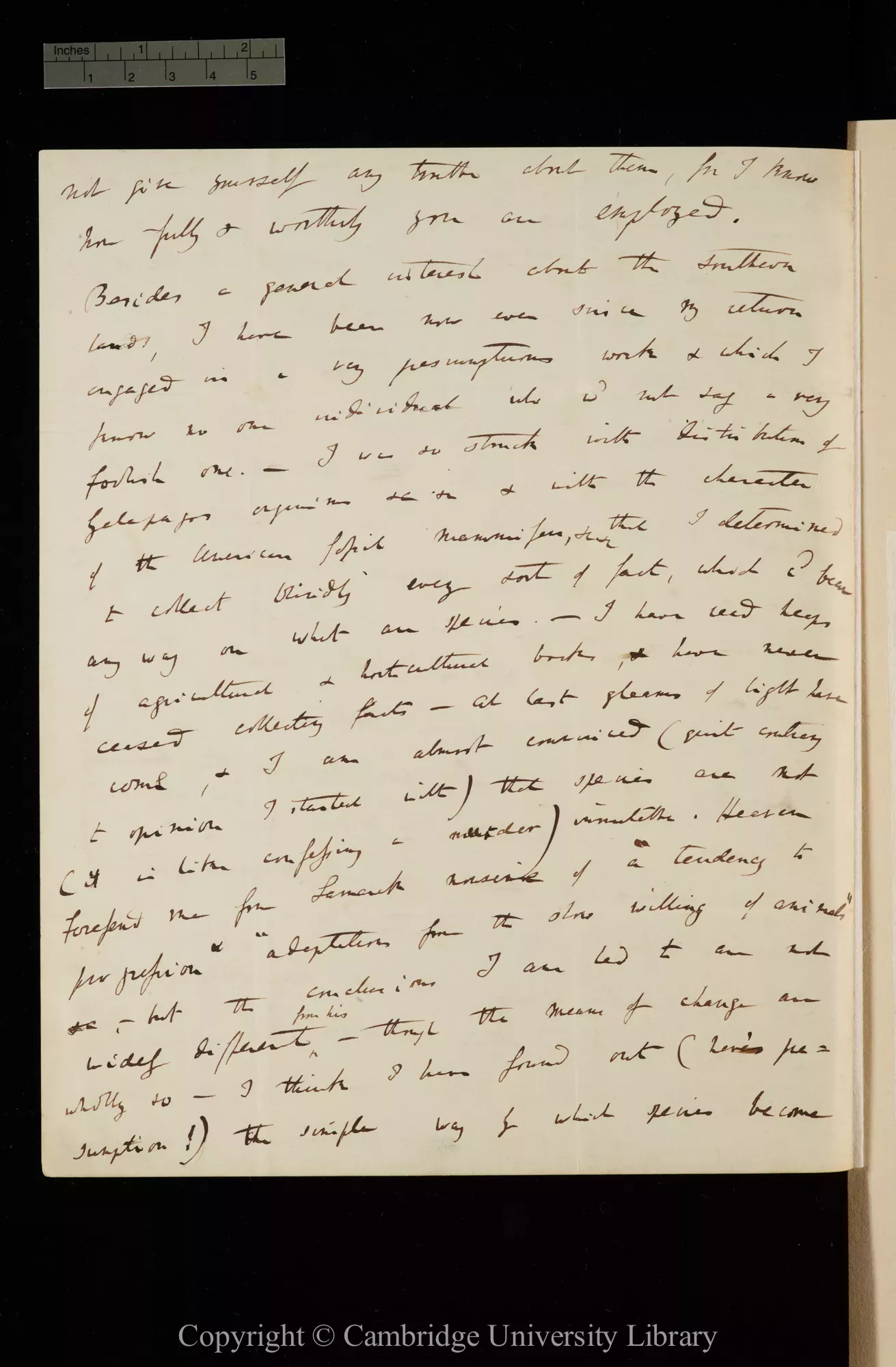 Charles Darwin's letter to Joseph Hooker regarding his theory of evolution