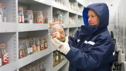 Kew scientist in coat holding jar of seeds